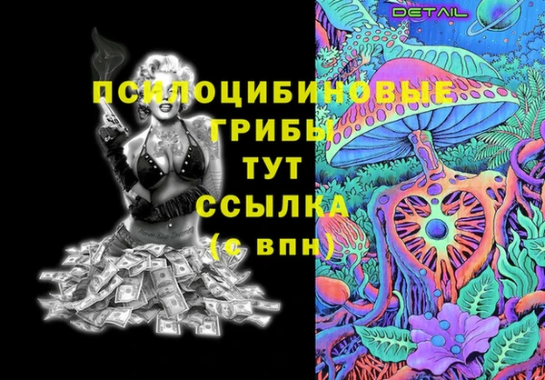 хмурый Алексеевка
