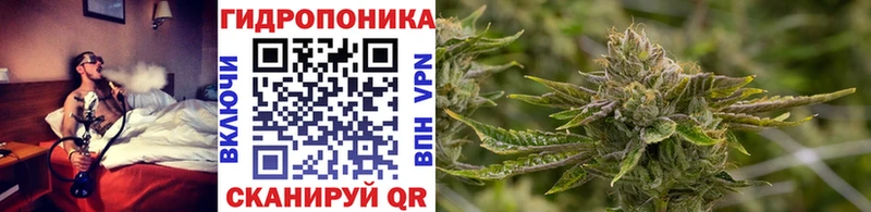 Бошки Шишки AK-47  Куса 